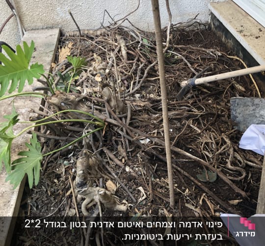 אדמה עם שורשים וכלי עבודה לגינון